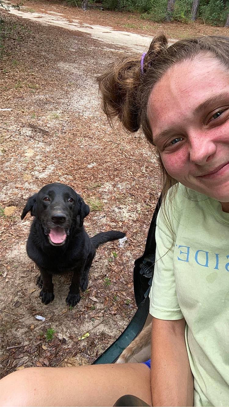 Duke is registered to the contest to win money with this photo: adventure, borador, canidae, carnivore, companion_dog, dog, dog_breed, fun, grass, guard_dog, gun_dog, happy, hunting_dog, leisure, plant, retriever, smile, sporting_group, t_shirt, working_animal