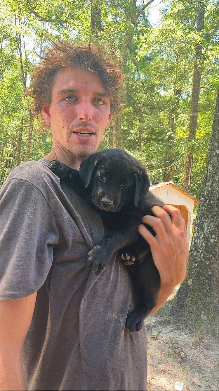 Remi is registered to the contest to win money with this photo: canidae, carnivore, companion_dog, dog, dog_breed, forest, fur, gesture, guard_dog, hunting_dog, plant, rainforest, sleeve, sporting_group, t_shirt, tree, wildlife_biologist, working_animal