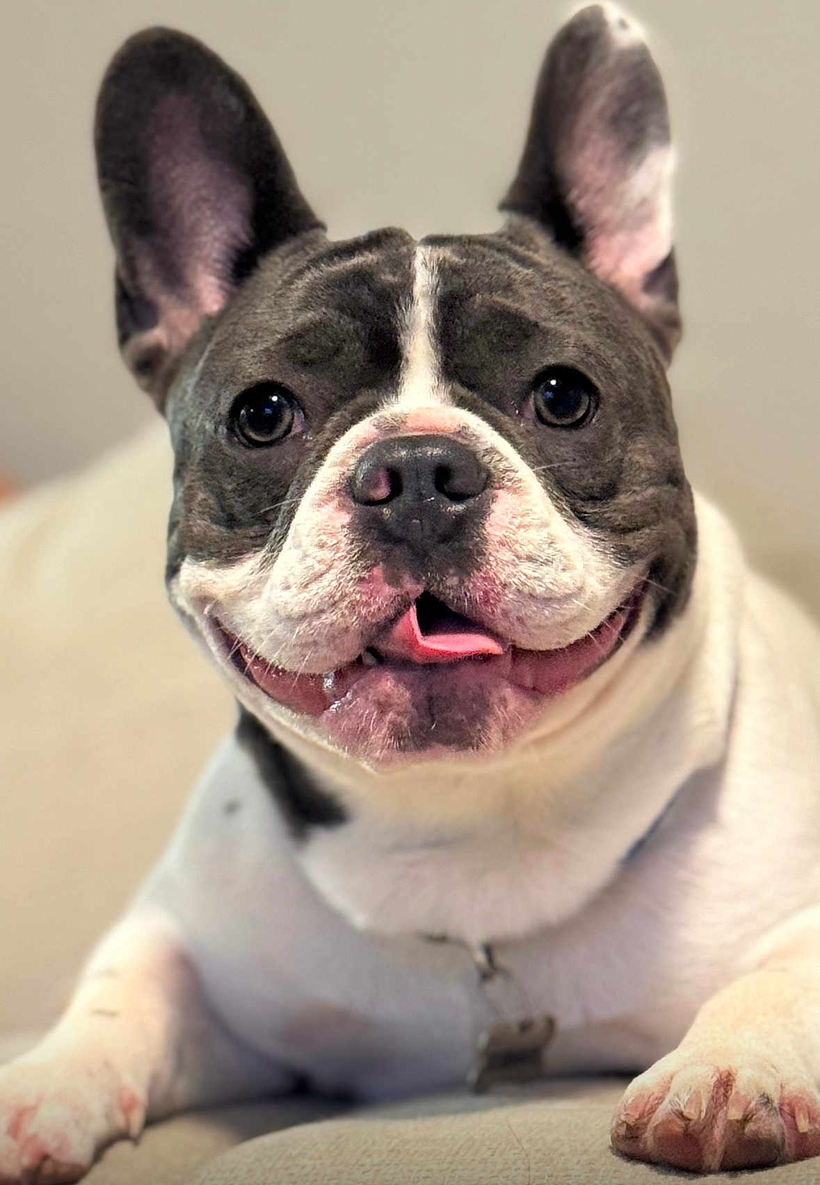 Coco