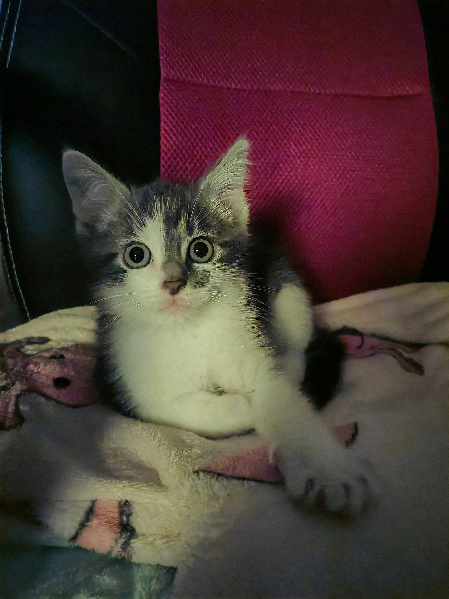 Casper