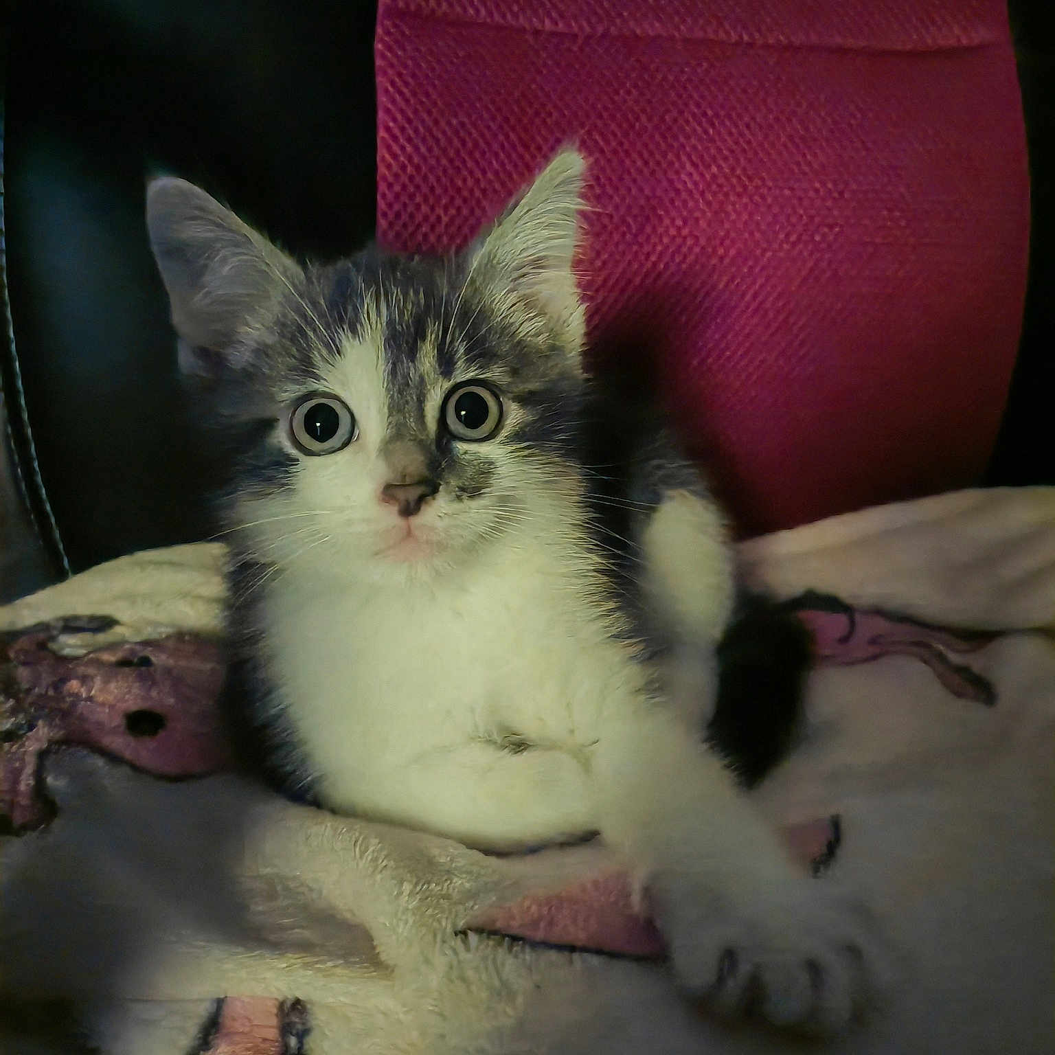 Casper