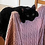 black_cat, cat, chair, pink_sweater, knitted_fabric, wooden_chair, indoor, pet, animal, curious, relaxed, table, remote_control, cozy, texture, fur, domestic, resting, eyes, home