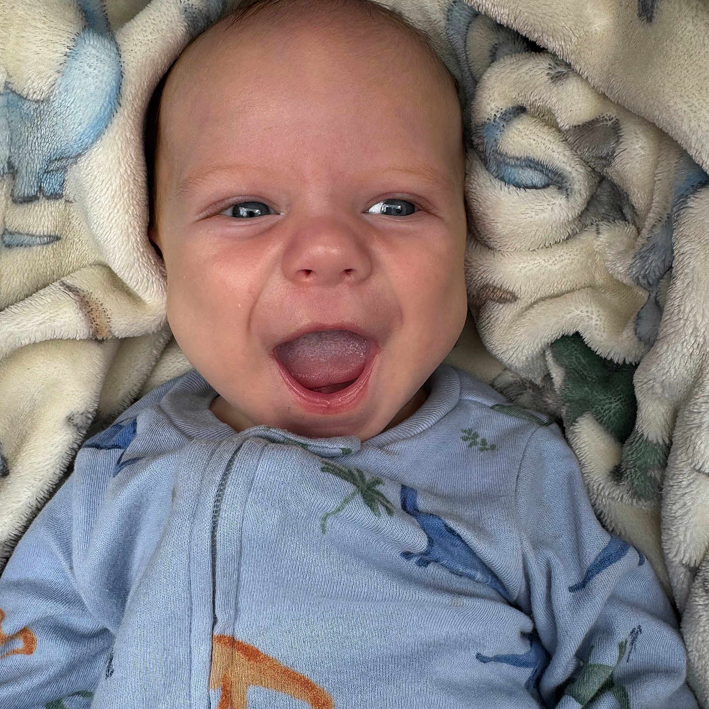 Niklaus joined the competition — help win amazing prizes! baby, blanket, blue_eyes, child, closeup, clothing, cozy, cute, dinosaur_pattern, face, happy, indoors, infant, lying_down, mouth_open, onesie, portrait, smiling, soft, warm