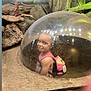 Gianna is registered to the contest to win money with this photo: child, clothing, face, female, girl, grass, head, outdoors, person, photography, plant, portrait, rock, soil, sphere, summer, swimwear, tree, water, wood
