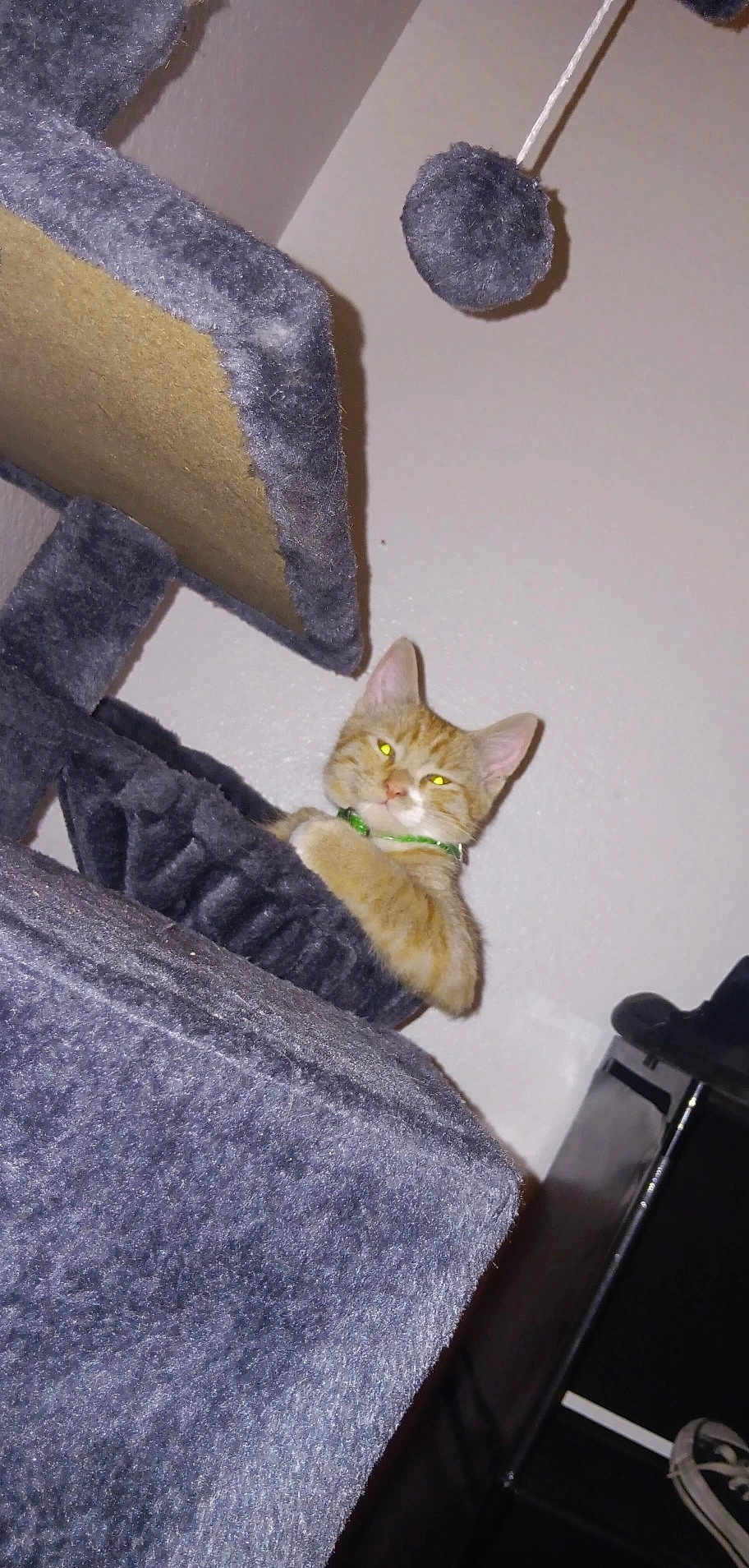 Kovu