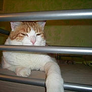 Alvaro a rejoint le concours — aidez-le/la à gagner de superbes lots !