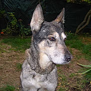 Weendy a rejoint le concours — aidez-le/la à gagner de superbes lots !