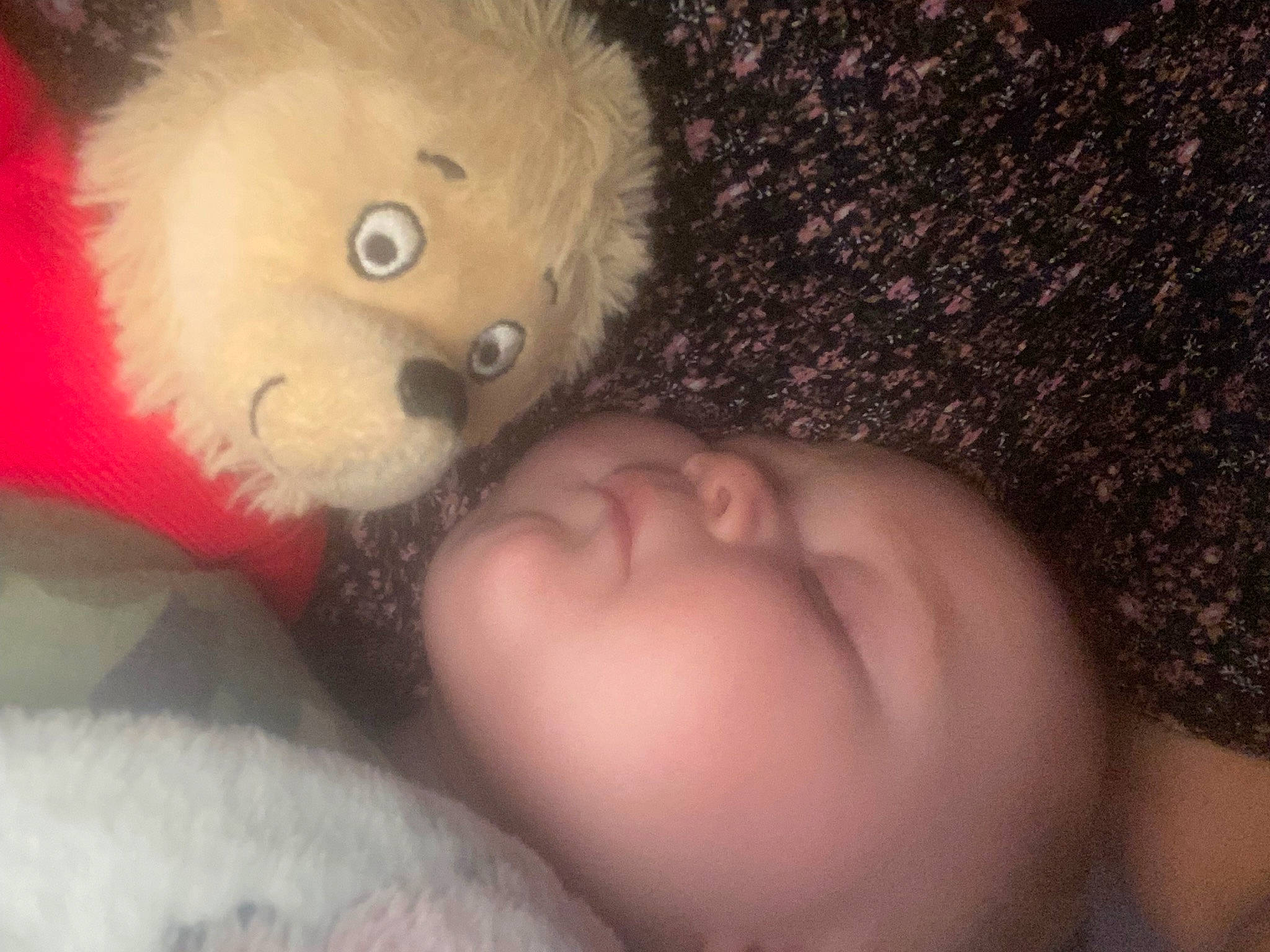 Westin is registered to the contest to win money with this photo: baby, companion_dog, doll, eyelash, fawn, fun, fur, happy, head, headgear, iris, mammal, mouth, nose, person, plush, skin, stuffed_toy, teddy_bear, toddler