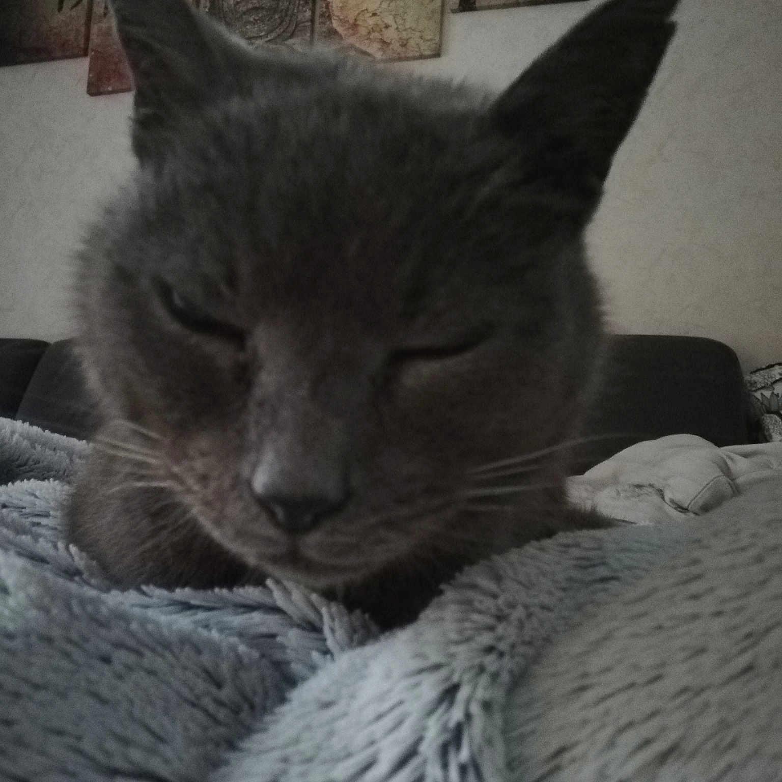 Nala