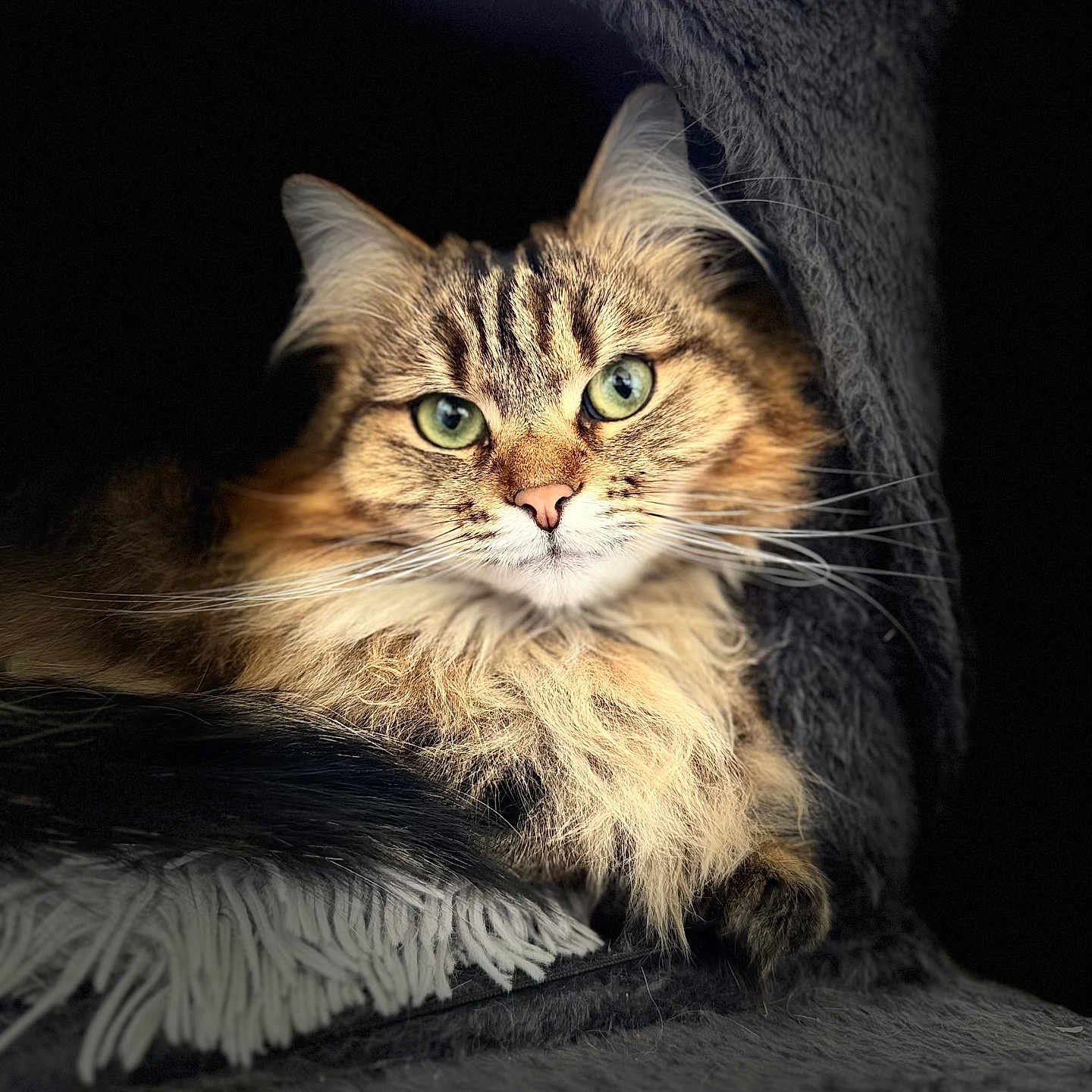 Jade