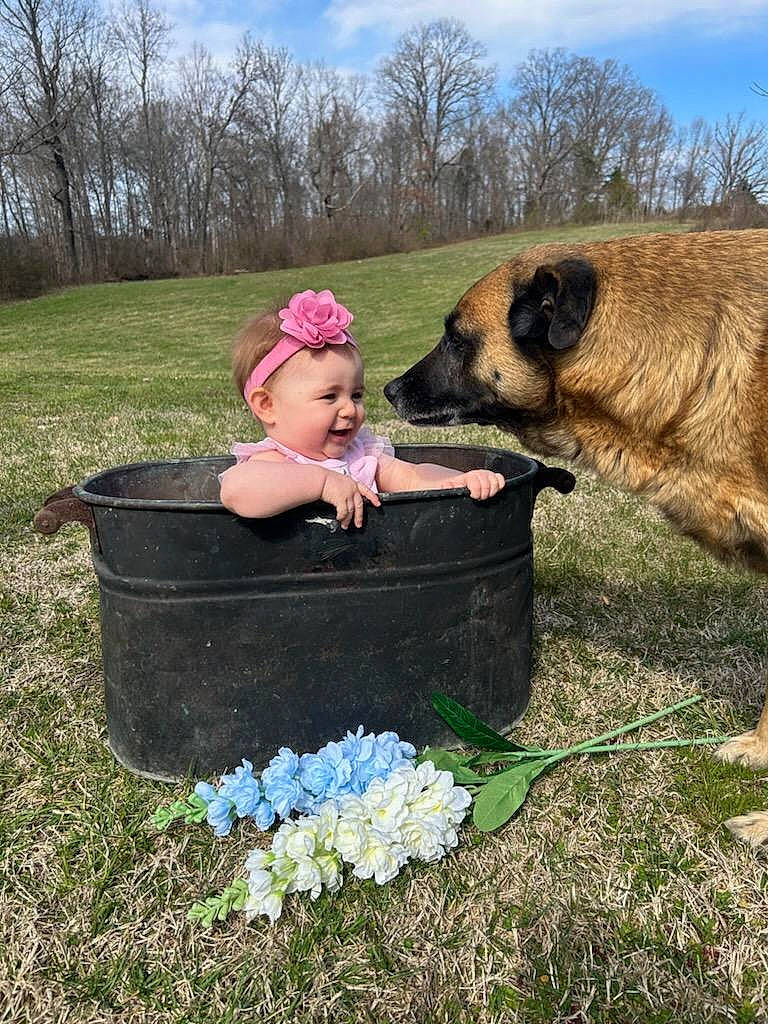 Hazel joined the competition — help win amazing prizes! carnivore, cloud, companion_dog, dog_breed, fawn, flower, grass, grassland, grazing, happy, hat, landscape, leisure, meadow, people_in_nature, person, plant, sky, toddler, tree