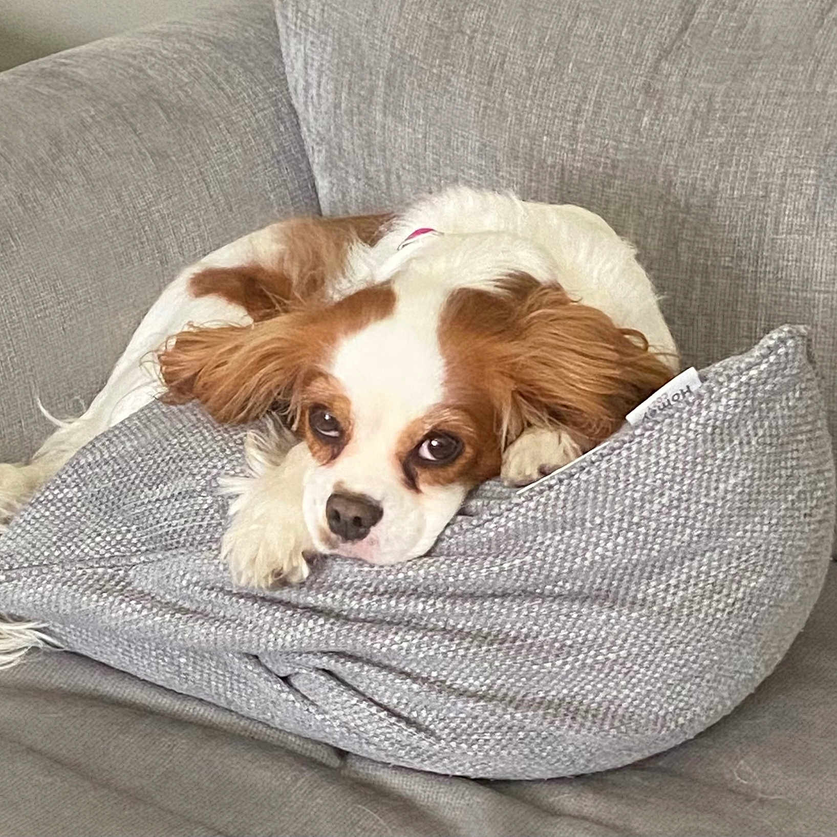 Ruby