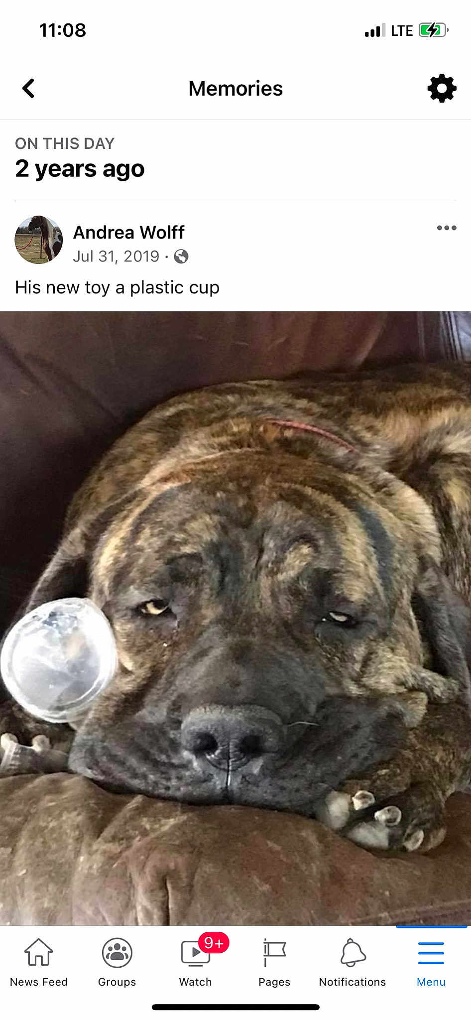 Cleatus