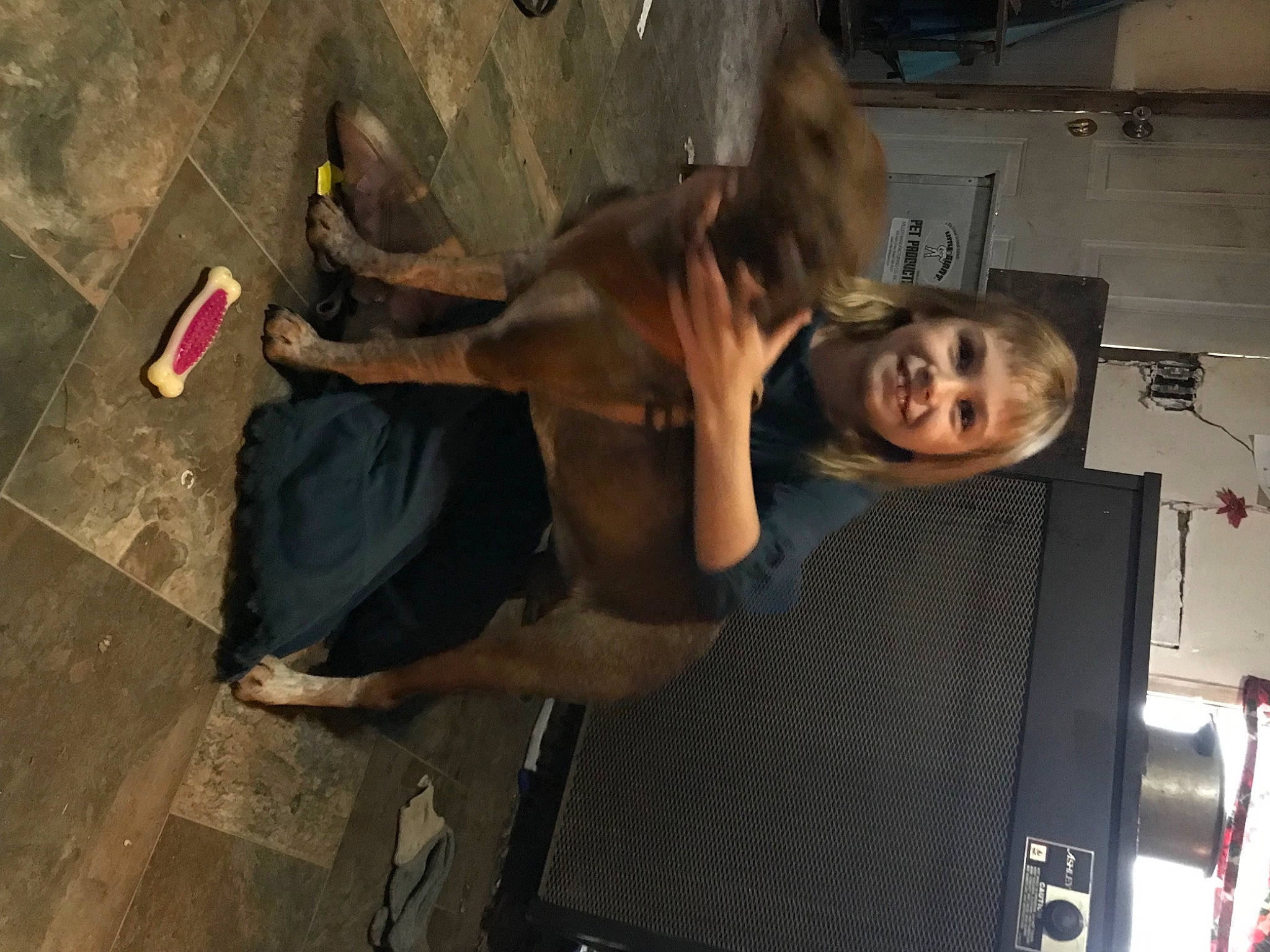 Charleigh joined the competition — help win amazing prizes! adventure, chest, dog, dog_breed, elbow, fawn, fun, home_appliance, joy, landscape, leg, person, room, smile, tree, working_animal