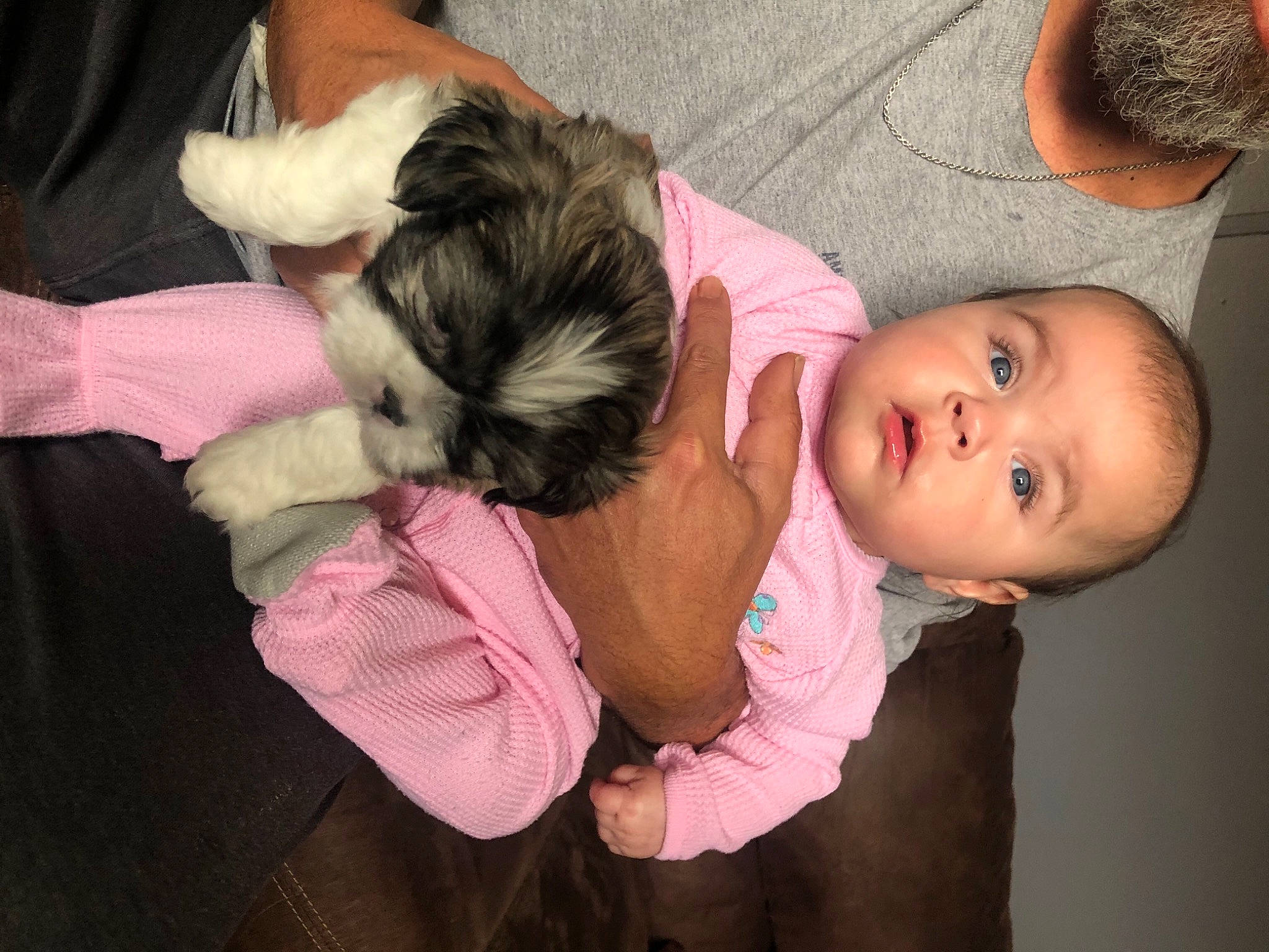 Cheyenne joined the competition — help win amazing prizes! baby, baby_toddler_clothing, black_hair, cheek, child, comfort, ear, eyelash, finger, gesture, happy, human_body, interaction, joint, mouth, nose, organ, person, pink, skin