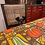 dog, small_dog, chair, tablecloth, pumpkin, acorn, kitchen, cabinet, countertop, pattern, fall_theme, autumn, decor, pet, animal, indoor, curious, ears, eyes, cozy