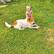 Luca is registered to the contest to win money with this photo: animal, backyard, child, clover, cute, dog, garden, grass, greenery, happy, nature, outdoor, pet, play, pool, relaxed, summer, sunlight, toddler, water_hose