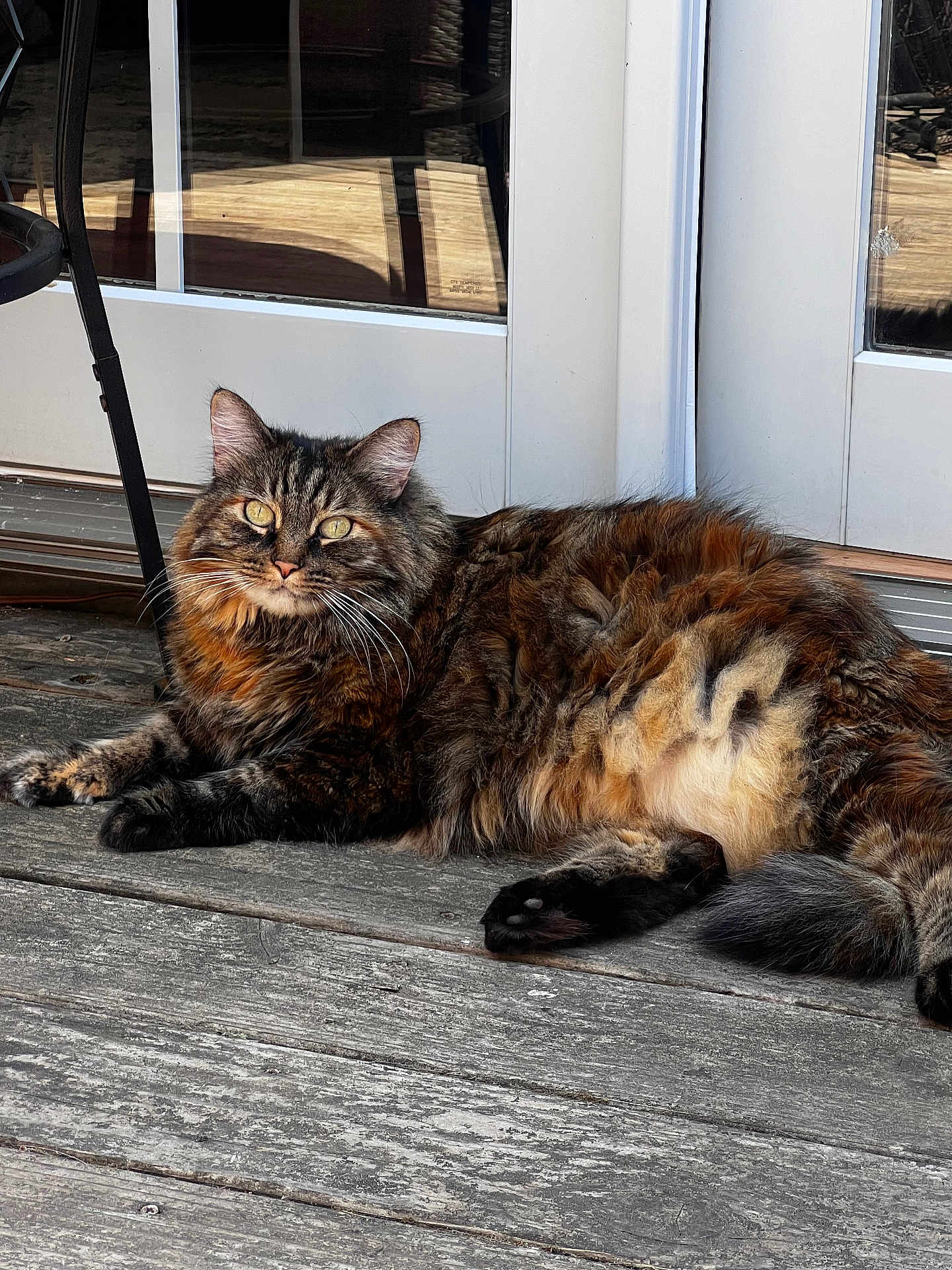 Kiki