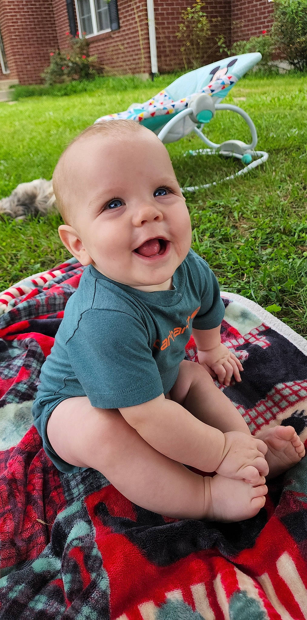Jasper joined the competition — help win amazing prizes! baby, baby_toddler_clothing, child, face, fun, grass, green, happy, lawn, leisure, pattern, person, pink, plaid, plant, sitting, skin, smile, summer, tartan