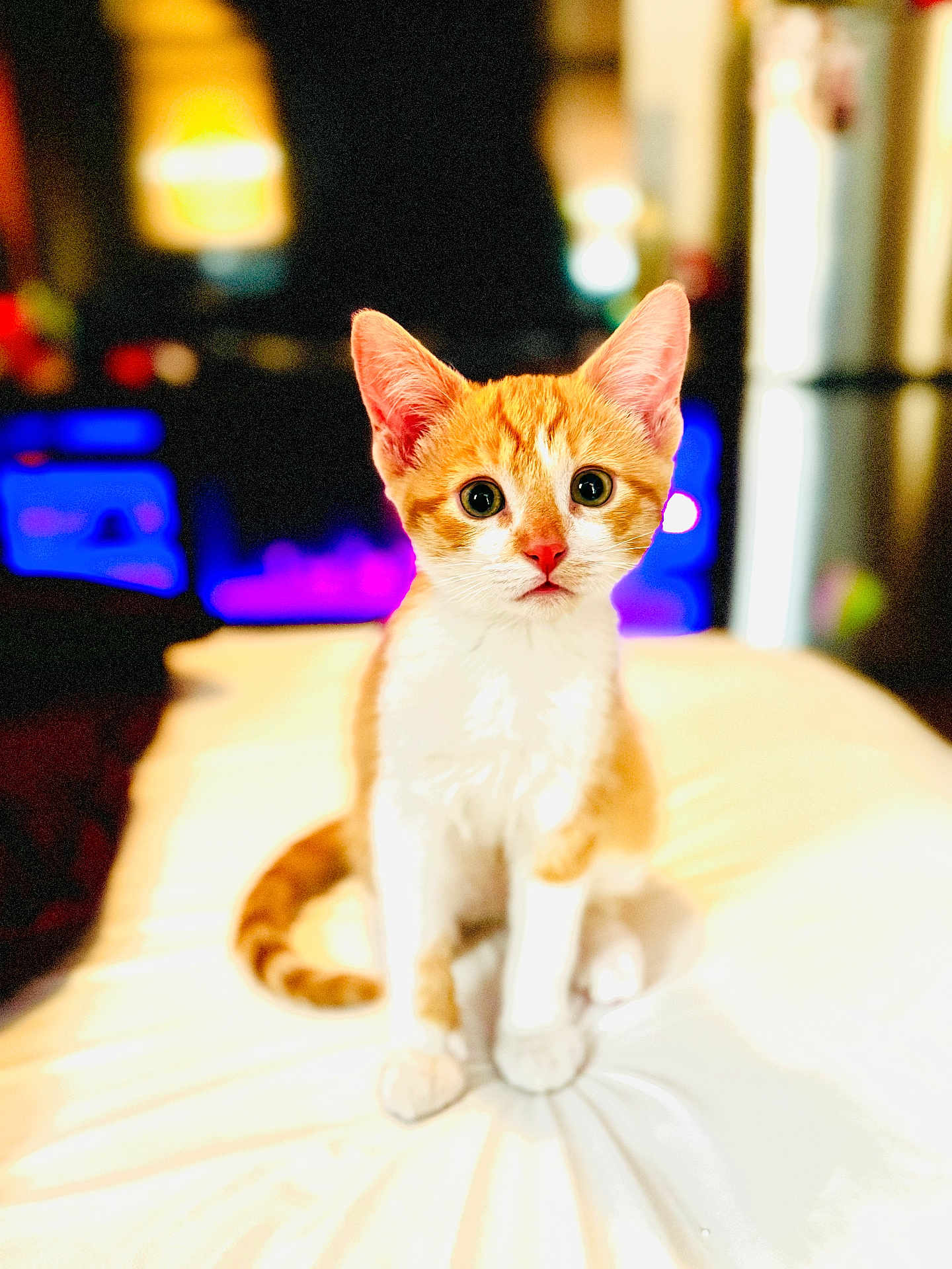 Mochi