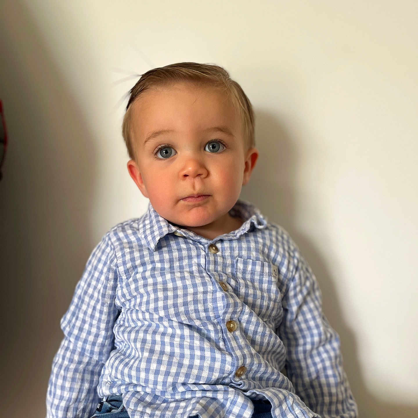 Nino participe au concours pour gagner de l'argent avec cette photo : blue_eyes, boy, casual_clothing, checkered_shirt, child, curious_expression, cute, face, fashion, focused, indoor, innocent, jeans, light_background, person, portrait, short_hair, sitting, toddler, young_child