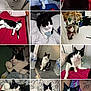 cat, black_and_white_cat, indoor, bed, blanket, christmas_decorations, santa_outfit, pet, animal, feline, cute, relaxed, sleeping, playful, collage, paw, floor, water_bottle, person_arm, home