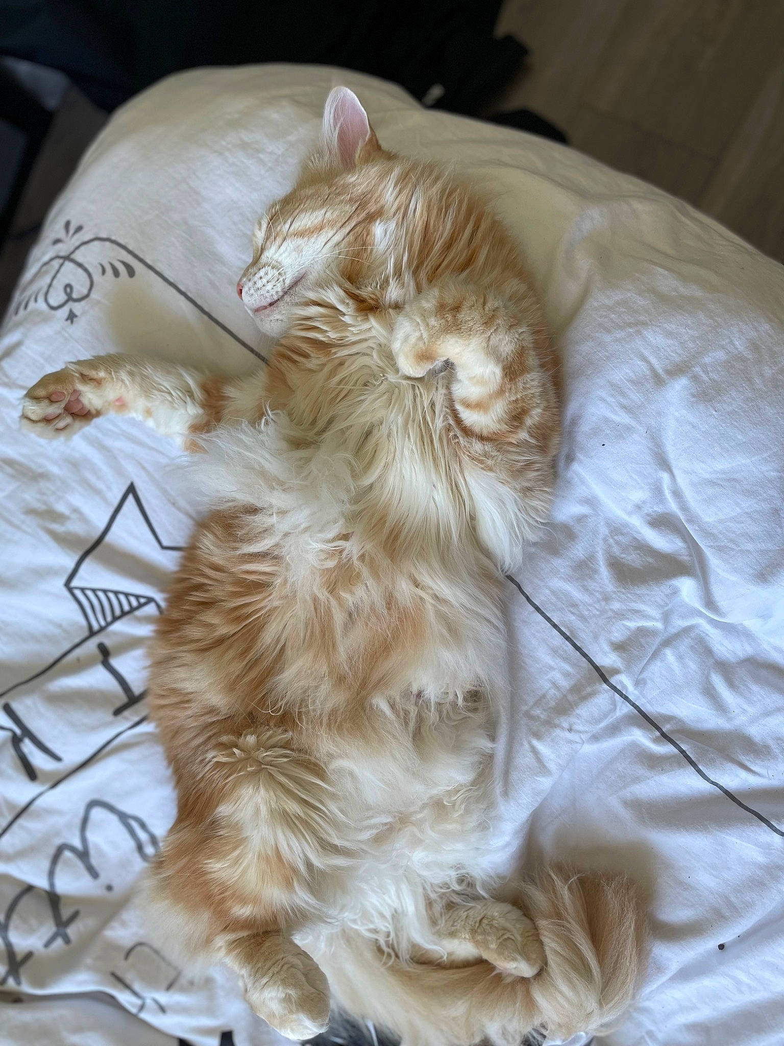 Melchior participe au concours pour gagner de l'argent avec cette photo : carnivore, claw, comfort, companion_dog, dog, dog_breed, dog_supply, fawn, felidae, fur, linens, liver, nap, pattern, paw, small_to_medium_sized_cats, tail, toy_dog, whiskers, working_animal