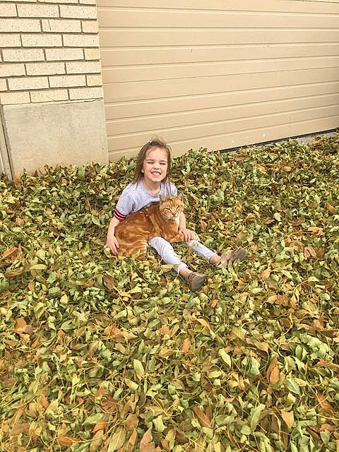 Kairi joined the competition — help win amazing prizes! adaptation, autumn, child, fawn, floor, flooring, fun, grass, joy, leaf, person, photography, plant, play, tree