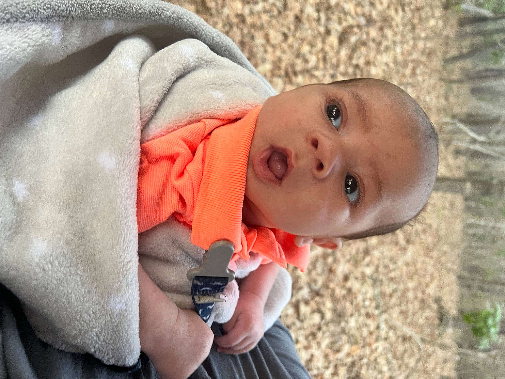 Princeton is registered to the contest to win money with this photo: baby, baby_products, baby_toddler_clothing, button, child, grass, hand, happy, hat, lip, nail, nose, person, plant, soil, surprise, toddler, tree, wood