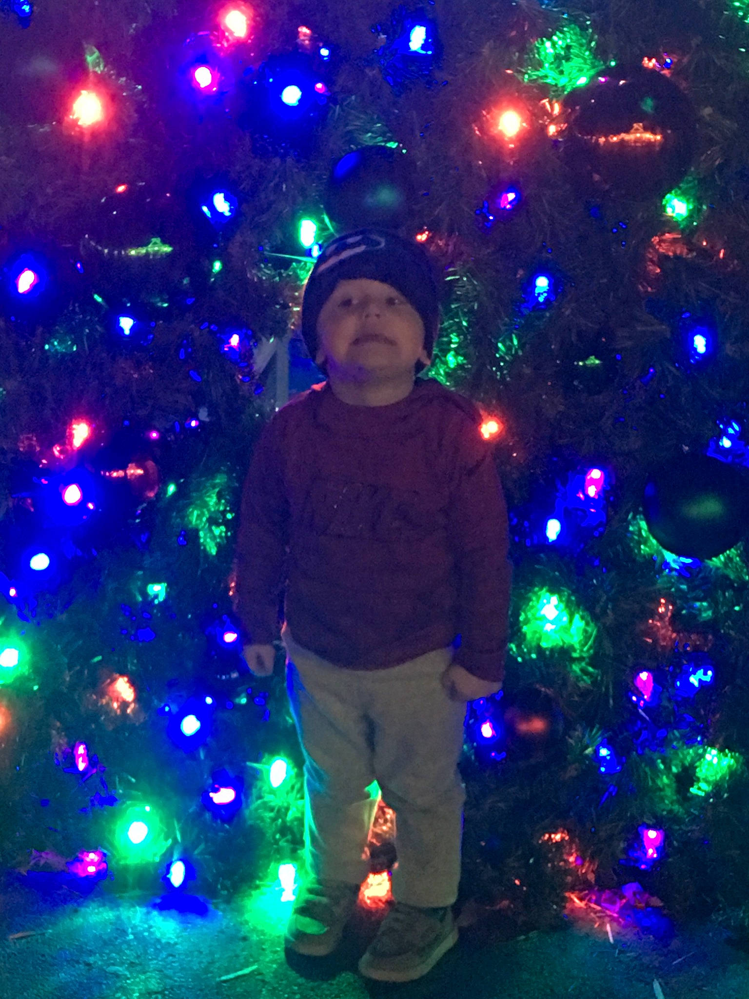 Jaxson Storm joined the competition — help win amazing prizes! christmas, christmas_decoration, christmas_lights, christmas_tree, darkness, decor, disco, event, fete, fun, holiday, light, lighting, midnight, night, person, sky, space, tree