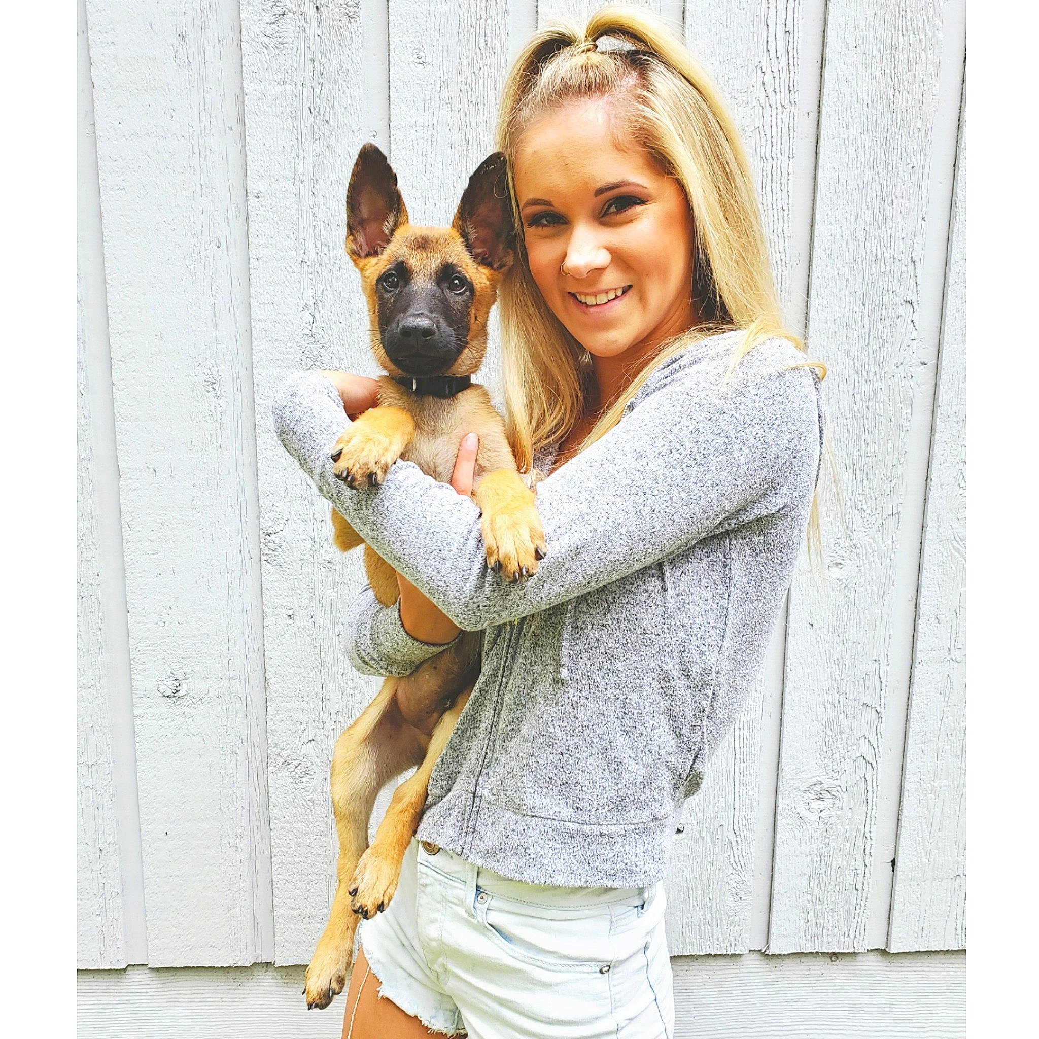 Samar is registered to the contest to win money with this photo: canidae, carnivore, companion_dog, denim, dog, dog_breed, door, ear, fawn, german_shepherd_dog, king_shepherd, kunming_wolfdog, mammal, snout, t_shirt, top, working_dog