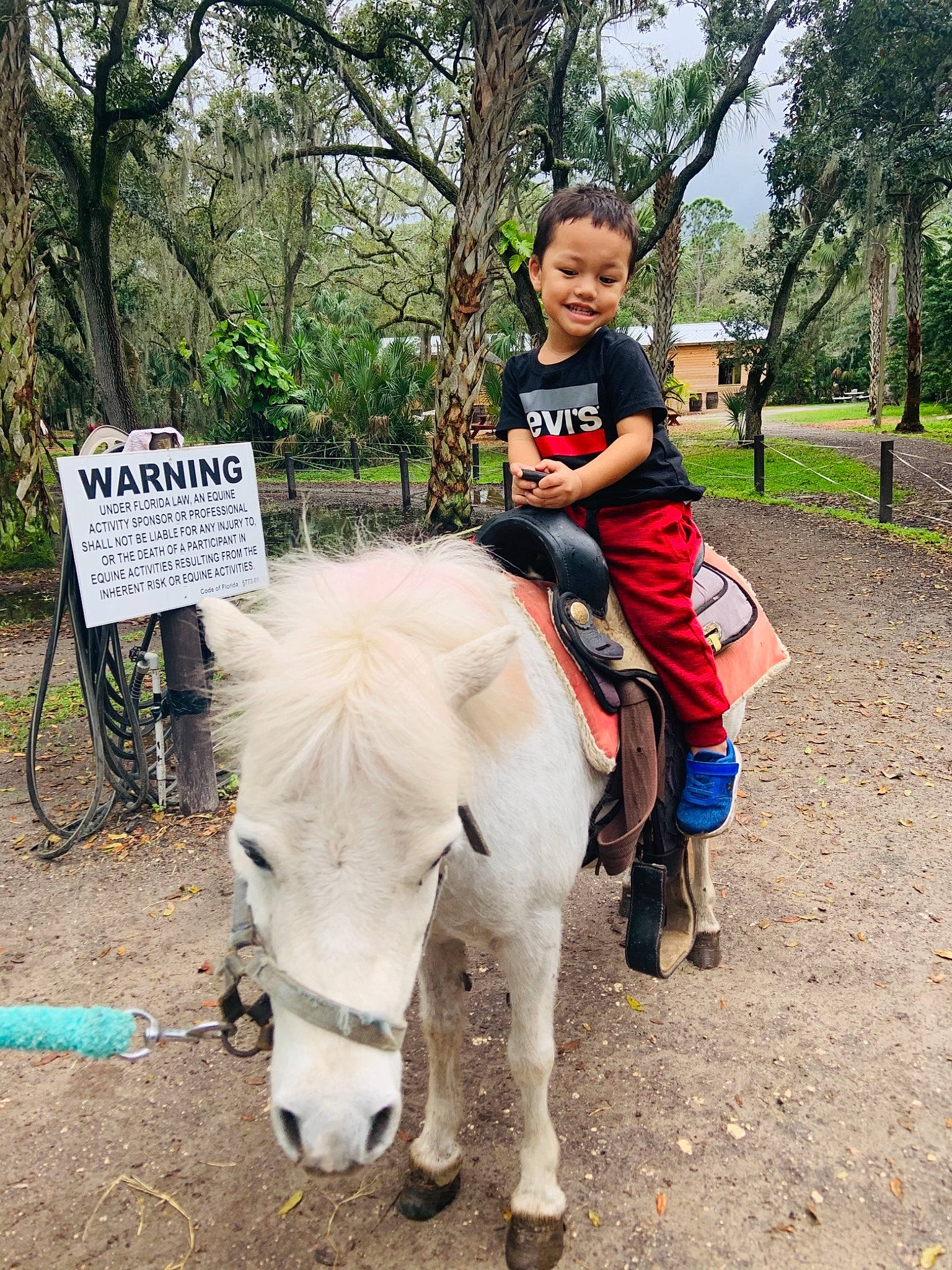 Tony Jr is registered to the contest to win money with this photo: bit, bridle, equestrian_sport, equestrianism, horse, horse_supplies, horse_tack, joy, landscape, leisure, livestock, mammal, mane, outdoor_recreation, pack_animal, person, plant, recreation, rein, saddle