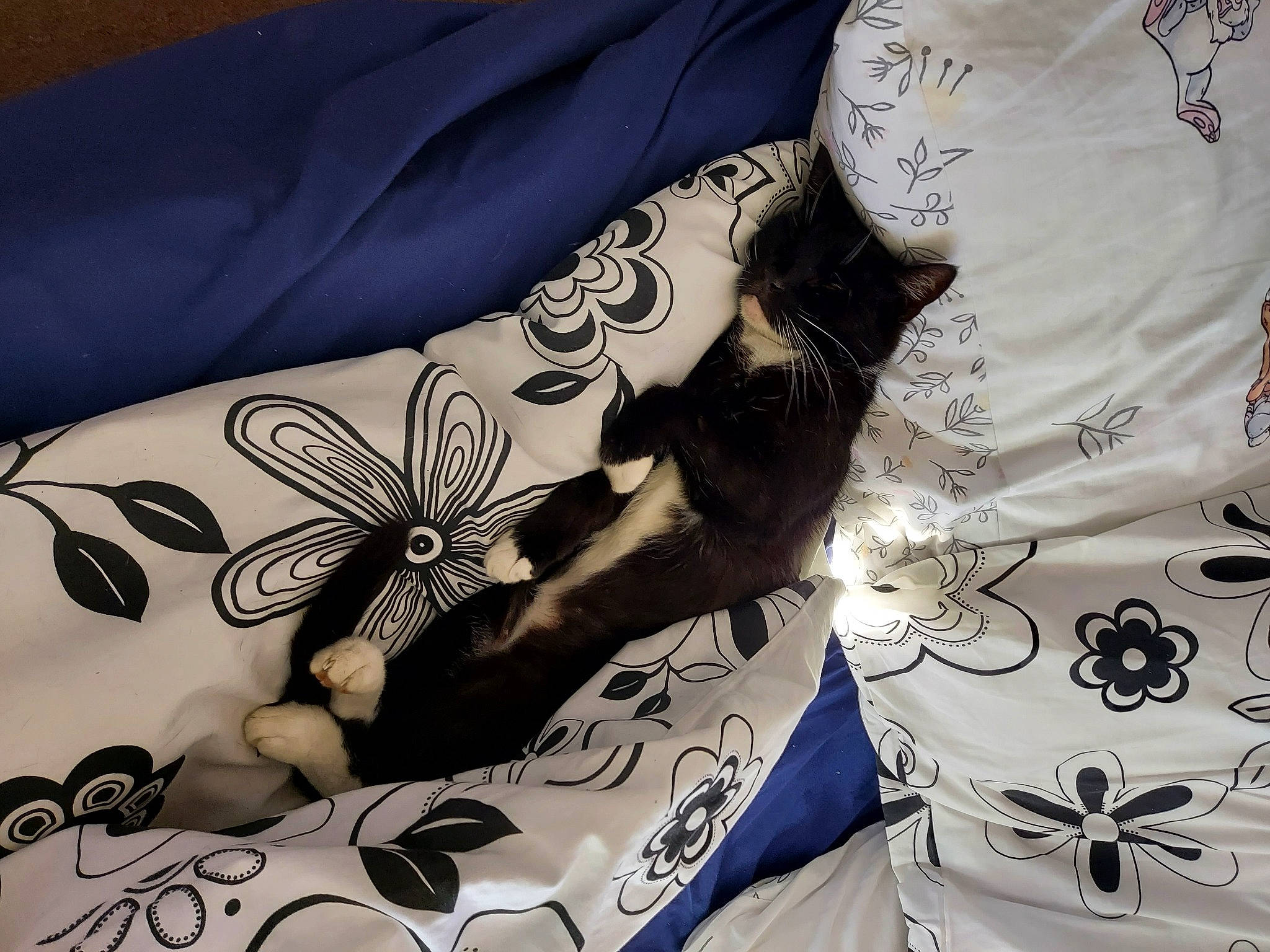 Azuk is registered to the contest to win money with this photo: arm, design, elbow, finger, font, gesture, human_leg, linens, nail, pattern, sleeve, t_shirt, tattoo, temporary_tattoo, textile, thigh, visual_arts, white, wing, wrist