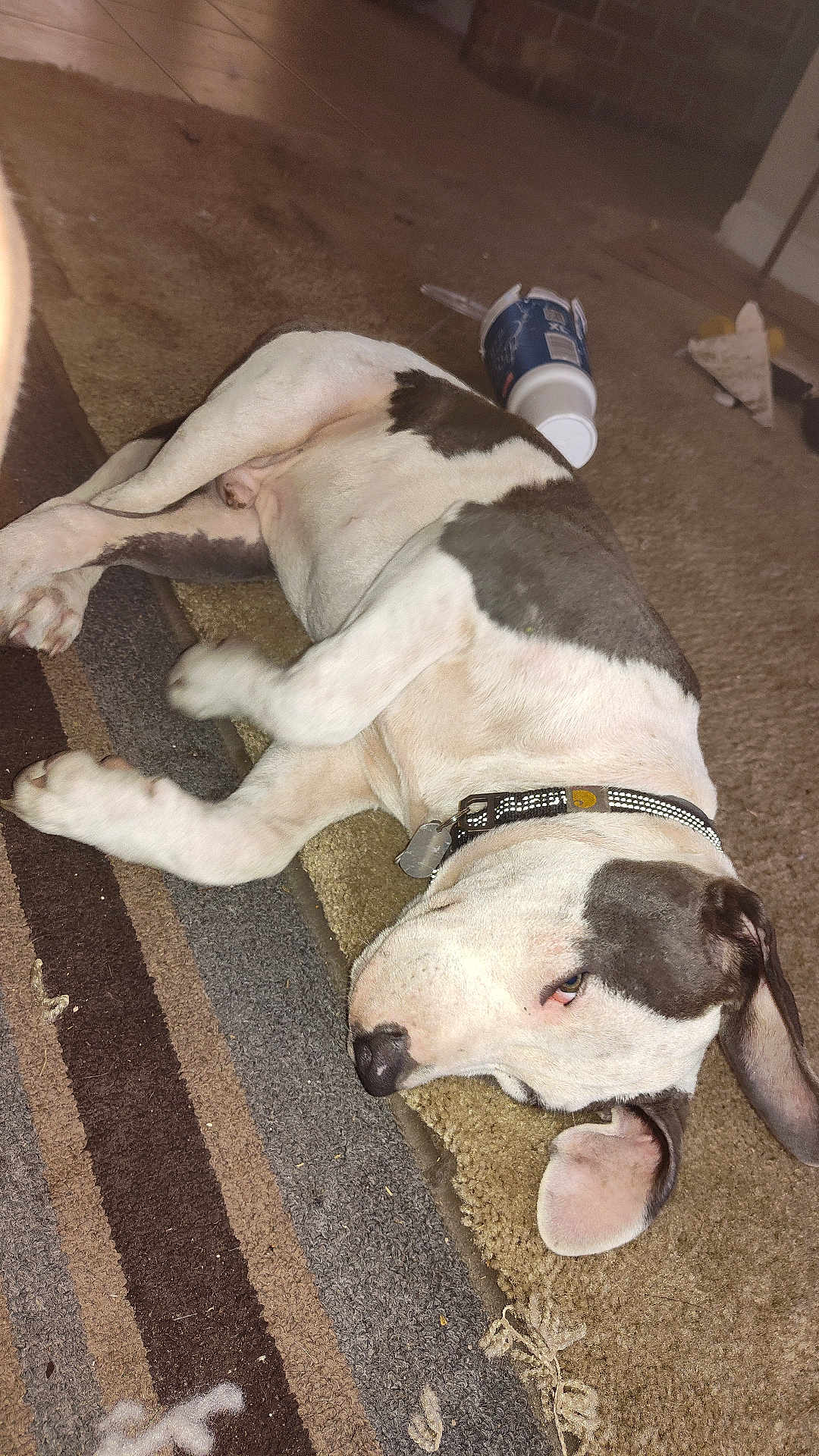 Fattboyy