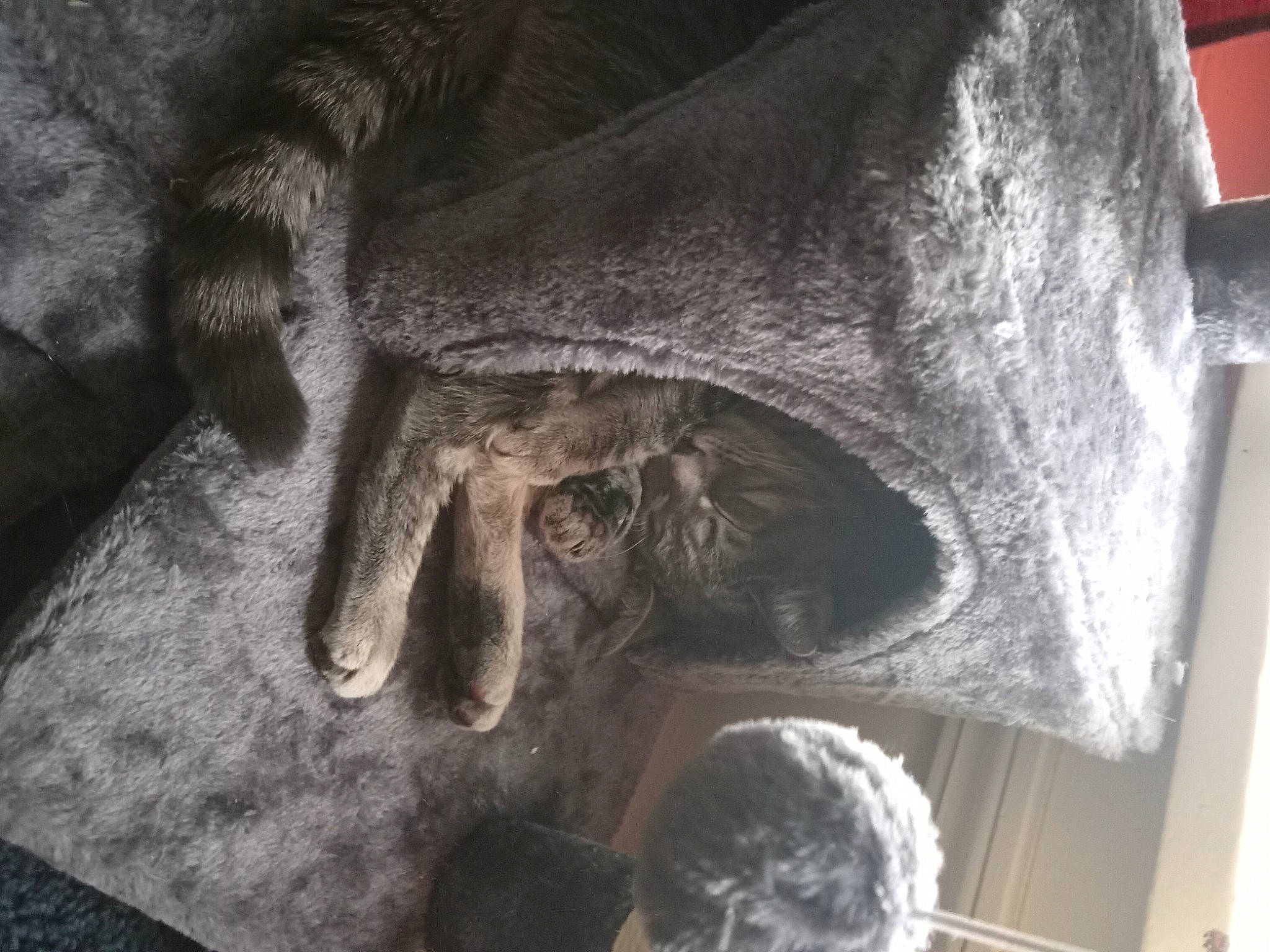 Philly joined the competition — help win amazing prizes! ancient_history, anthropology, art, artifact, bone, building, carving, font, grey, history, jaw, metal, monochrome, monochrome_photography, sculpture, skeleton, skull, still_life_photography, visual_arts, wood