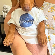 Danilo joined the competition — help win amazing prizes! adorable, animal, brown_dog, close_up, cute, dog, face, floral_dress, holding, human_arm, indoor, looking_at_camera, nail_claws, person, pet, portrait, puppy, text_on_clothing, white_shirt, young_dog