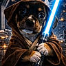 puppy, dog, jedi, lightsaber, costume, star_wars, space, death_star, science_fiction, cute, animal, brown_coat, hooded_cloak, glowing, fantasy, portrait, character, fictional, cosplay, text_overlay