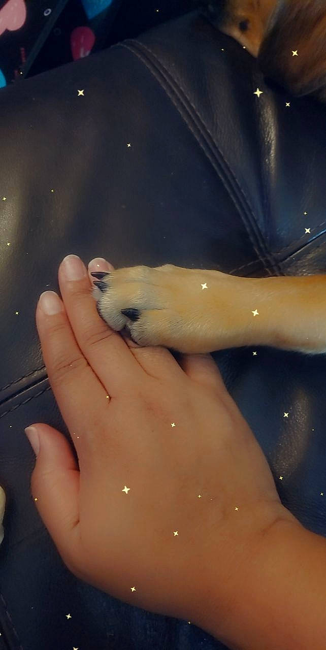 Gray'Cee joined the competition — help win amazing prizes! abdomen, barefoot, chest, eye, eyebrow, fawn, finger, foot, gesture, hair, hand, head, human_body, human_leg, jaw, leg, nail, neck, thumb, trunk