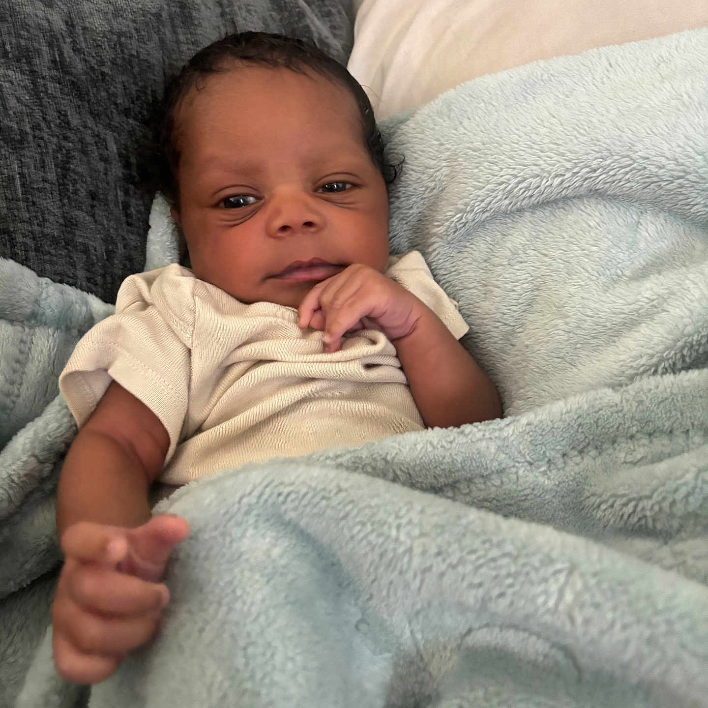Dallas is registered to the contest to win money with this photo: baby, infant, blanket, couch, pillow, soft_texture, curly_hair, skin, hand, clothing, indoors, portrait, relaxing, comfortable, young_child, person, face, expression, resting, cozy