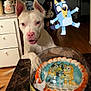 dog, white_dog, cake, cartoon_characters, animated_character, kitchen, table, curious, pink_nose, celebration, indoor, food, dessert, marble_table, floor, cabinet, pet, animal, playful, mixed_media