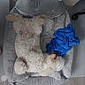 dog, small_dog, fluffy, curly_fur, white_fur, lying_down, belly_up, pet, animal, plush_toy, cat_plush, blanket, blue_blanket, pet_carrier, cozy, indoor, home, wood_floor, overhead_view, relaxed