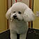Snoopy