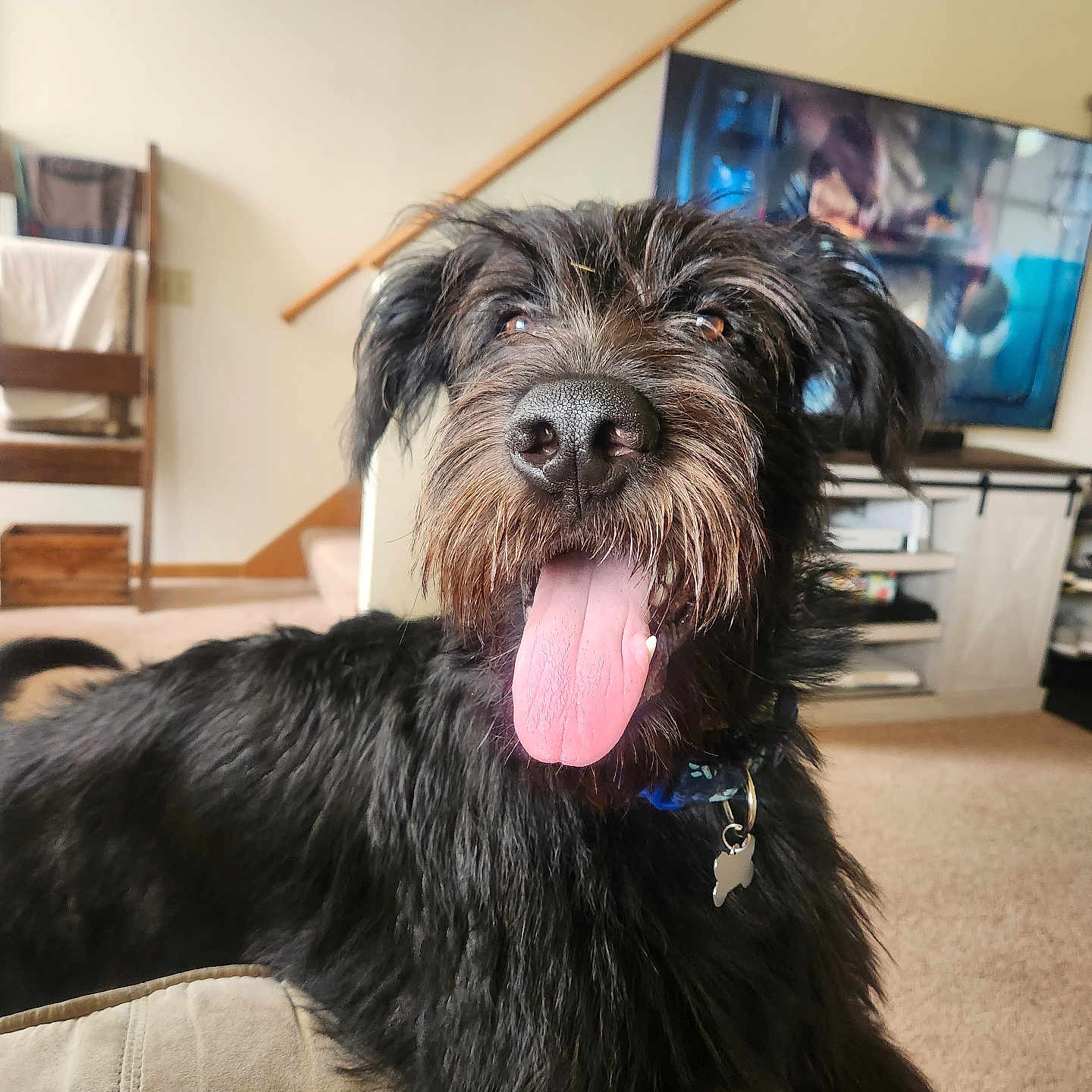 Ruger James Kopet