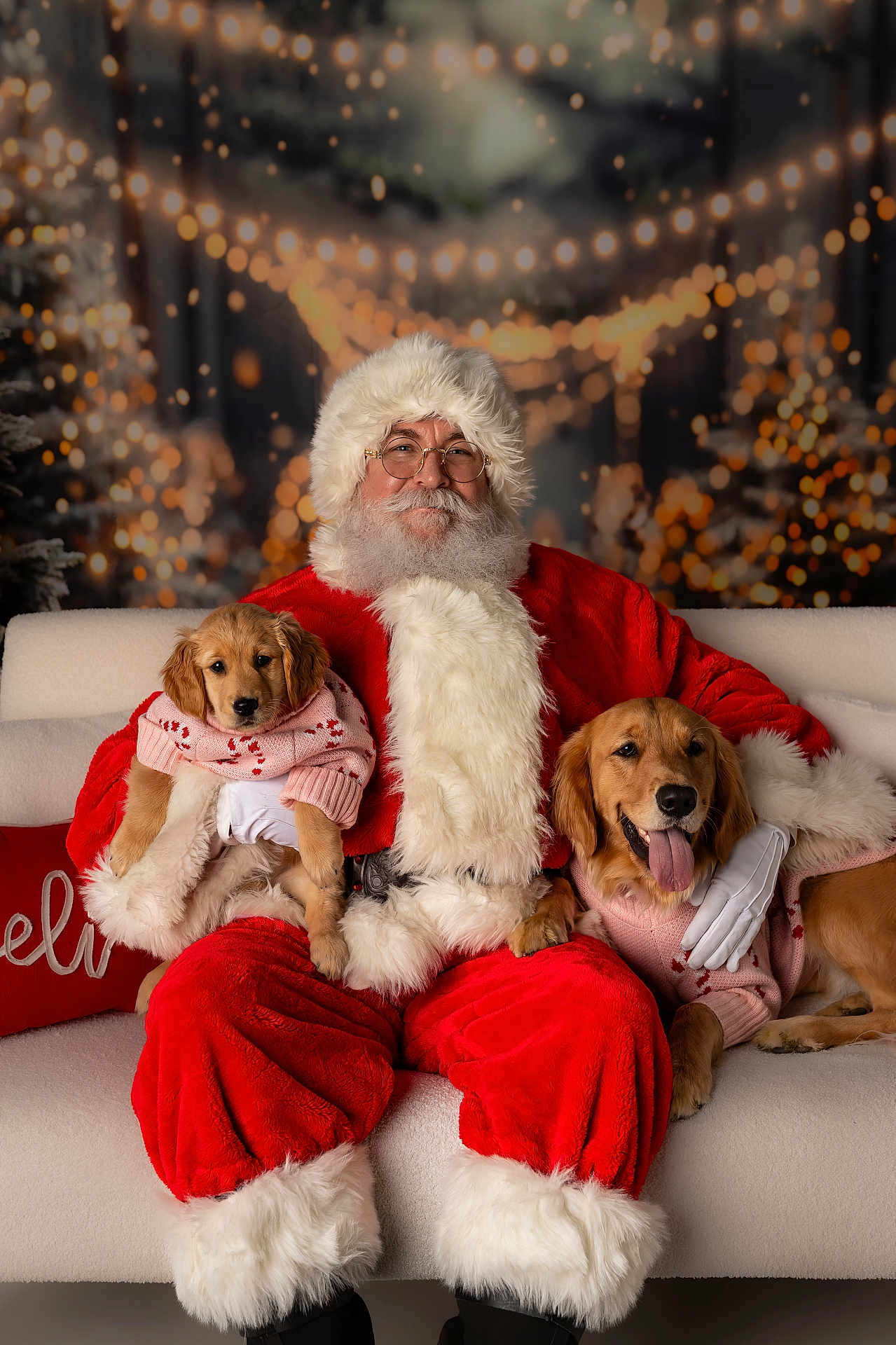 Penny And Peaches joined the competition — help win amazing prizes! santa_claus, dog, puppy, christmas, holiday_lights, red_suit, white_fur, glasses, beard, smiling, couch, sweater, festive, indoor, portrait, cute, pet, winter, decor, warm