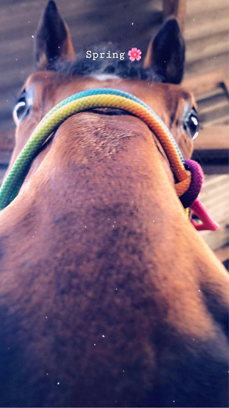 Exotic Queen C a rejoint le concours — aidez-le/la à gagner de superbes lots ! back, cool, eye, flesh, hand, joint, leg, photography, selfie