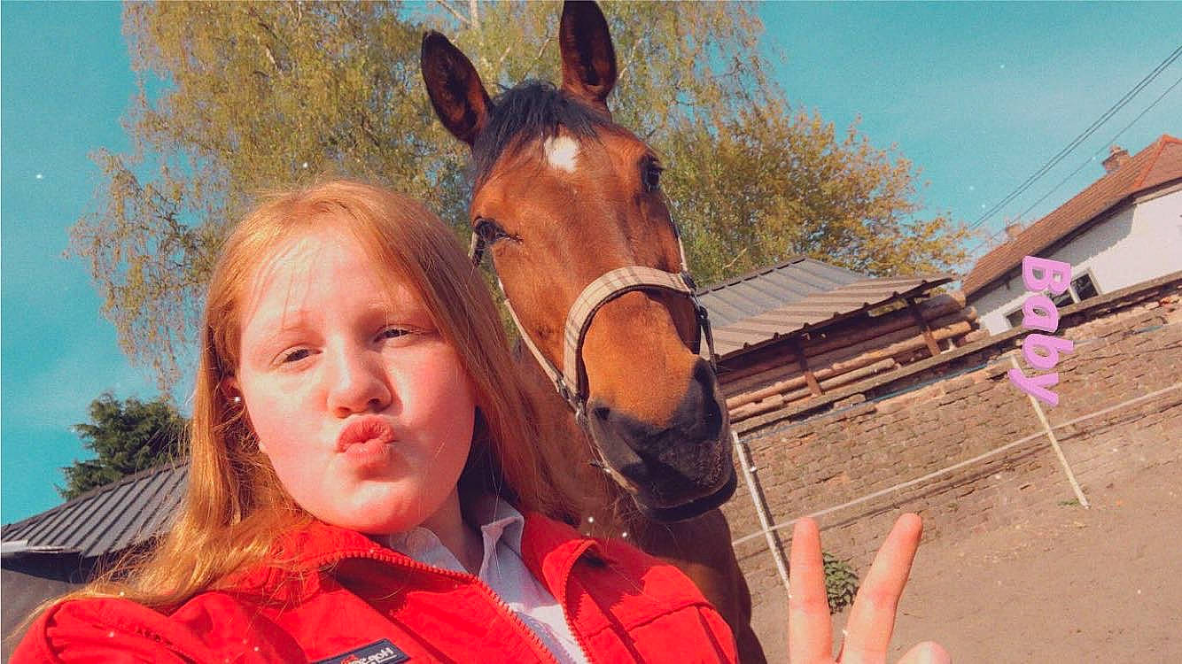 Exotic Queen C a rejoint le concours — aidez-le/la à gagner de superbes lots ! bridle, ear, fun, horse, horse_grooming, horse_supplies, horse_tack, liver, livestock, mane, mare, nose, pack_animal, photography, rein, riding_instructor, smile, snout, sorrel