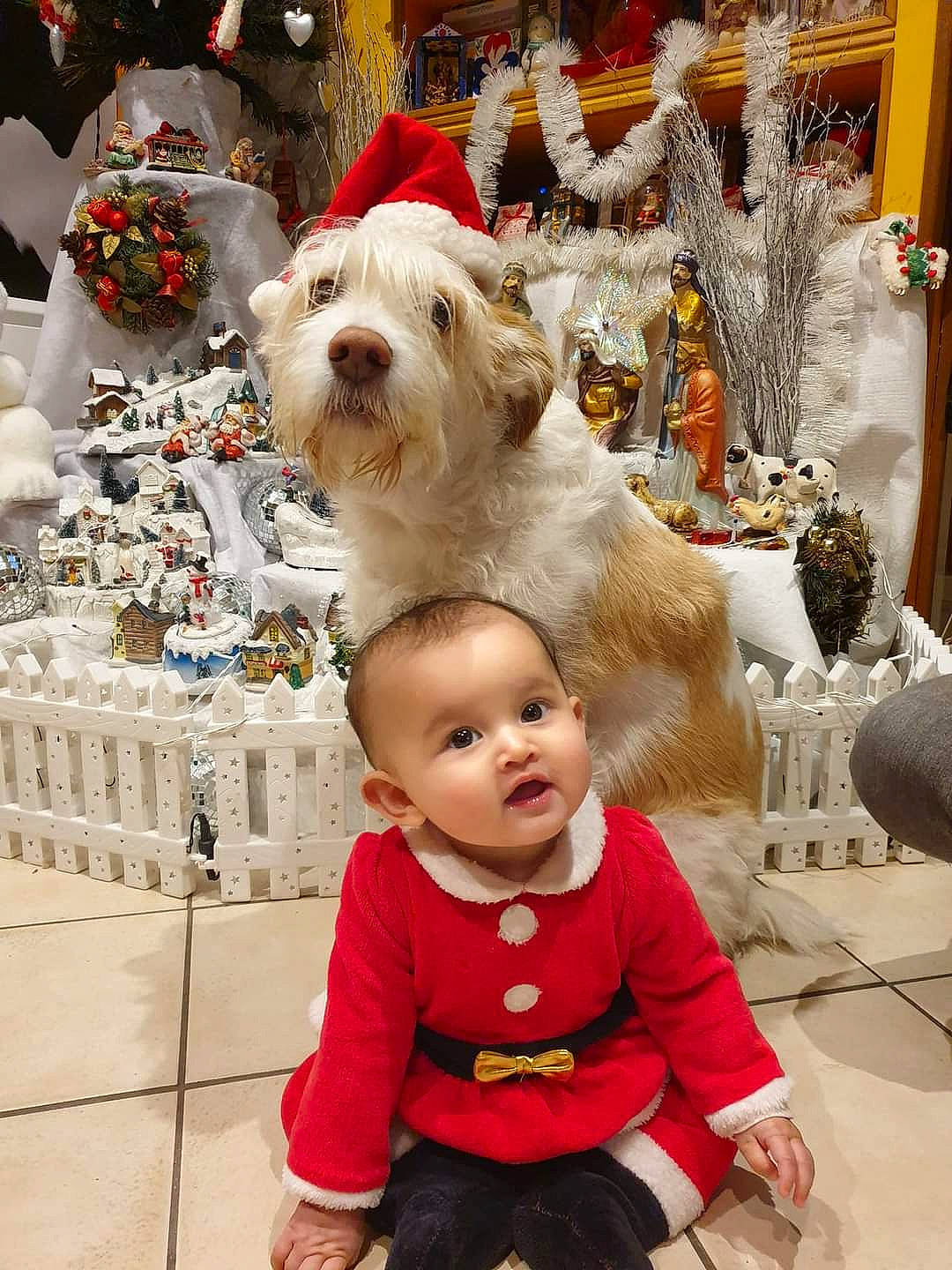 Aryana participe au concours pour gagner de l'argent avec cette photo : baby, baby_toddler_clothing, carnivore, child, christmas, christmas_ornament, companion_dog, dog, dog_breed, event, fawn, fur, happy, holiday, ornament, person, photograph, snapshot, textile, toddler