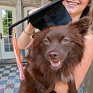 Bear is registered to the contest to win money with this photo: dog, graduation_cap, woman, smile, celebration, confetti, outdoor, portrait, happy, brown_dog, pet, holding, tassel, building, window, tile_floor, fur, face, event, person