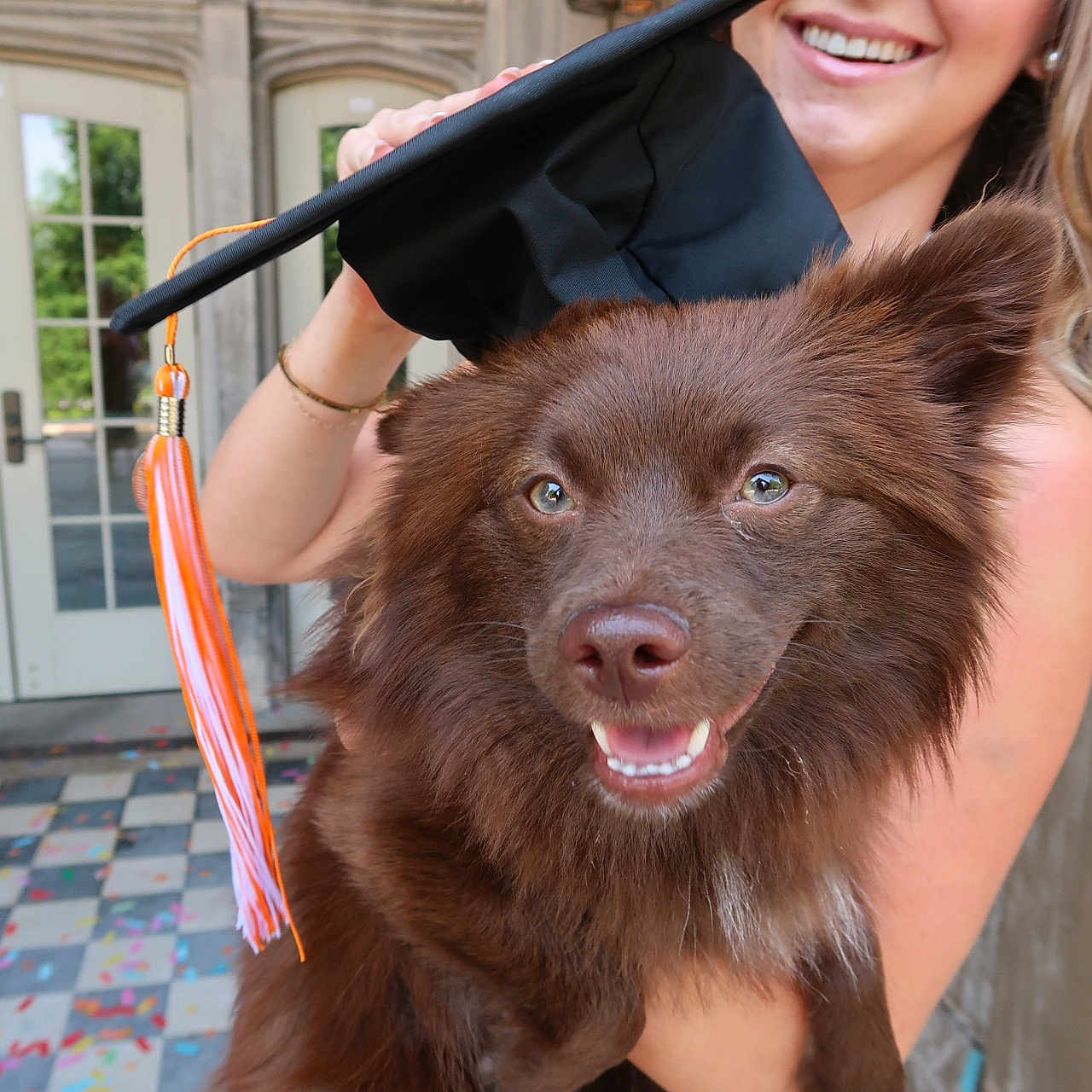 Bear is registered to the contest to win money with this photo: dog, graduation_cap, woman, smile, celebration, confetti, outdoor, portrait, happy, brown_dog, pet, holding, tassel, building, window, tile_floor, fur, face, event, person