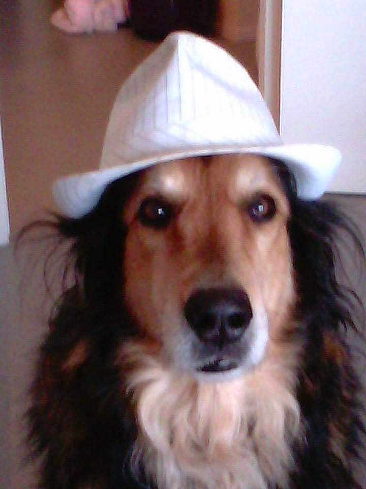Falko